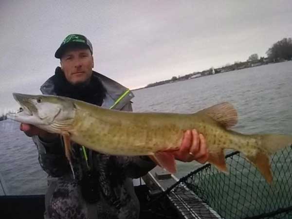 Wade Winch musky