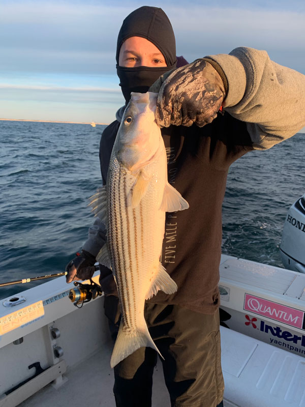 Reel Reaction Charters striper