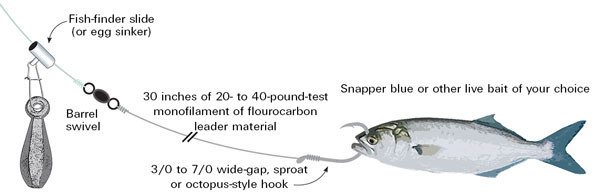 Sea Bass,porgies fishing rig (6/0 octopus) 30 lb fluorocarbon Line (4 Rigs)