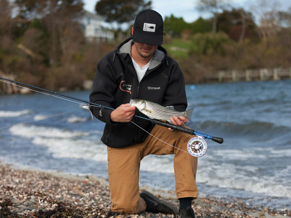Fly Fishing for Schoolie Stripers - On The Water