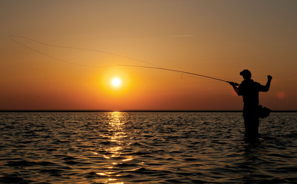 Saltwater Fly Fishing for Beginners
