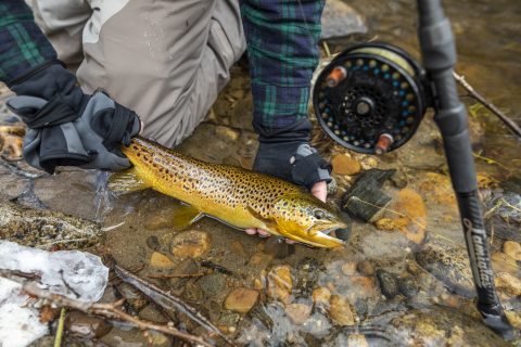 Gear and Tackle: Farmington River Float Fishing