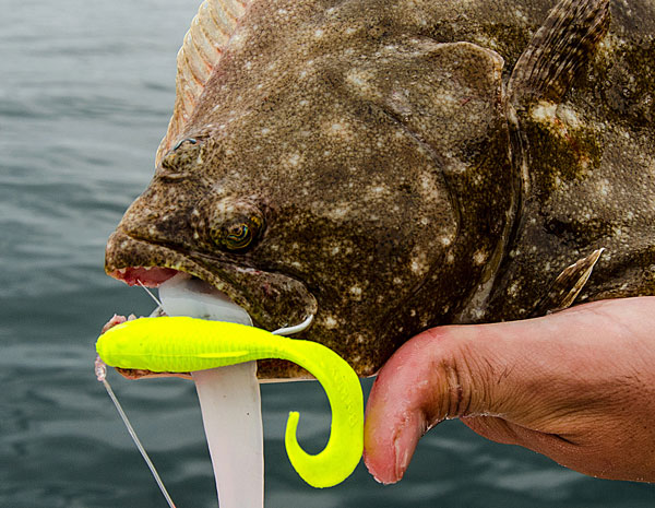The Best Lure Colors for Fluke Fishing - On The Water
