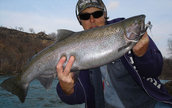 Mike Rzucidlo steelhead