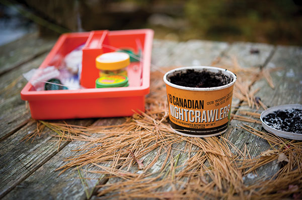 nightcrawlers and powerbait