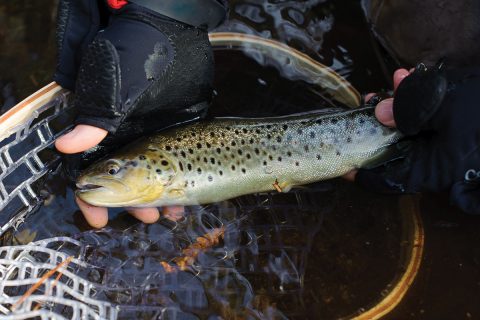 The hook isn&rsquo;t always so much the fish at the end of the line as it is the camaraderie with friends and family.