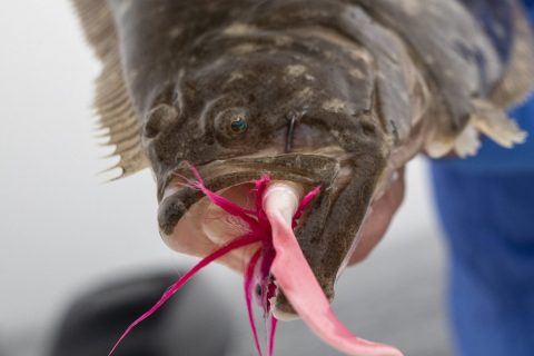 Gear and Tackle: Nantucket Shoals Fluke