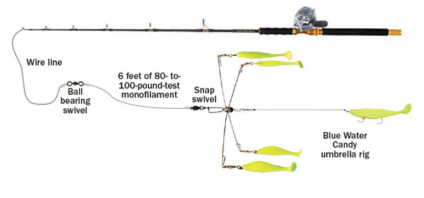 Umbrella Rigs For Bass Stripers Fishing, Freshwater Fishing