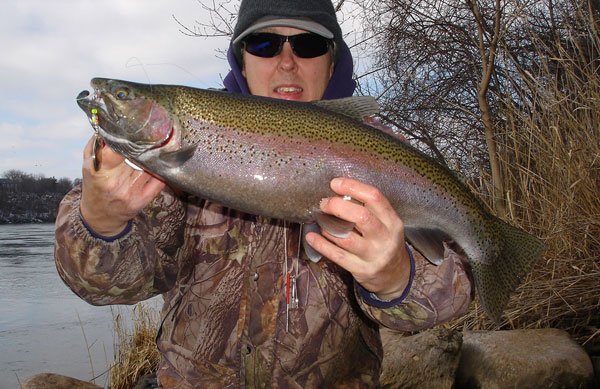 Mike Rzucidlo steelhead