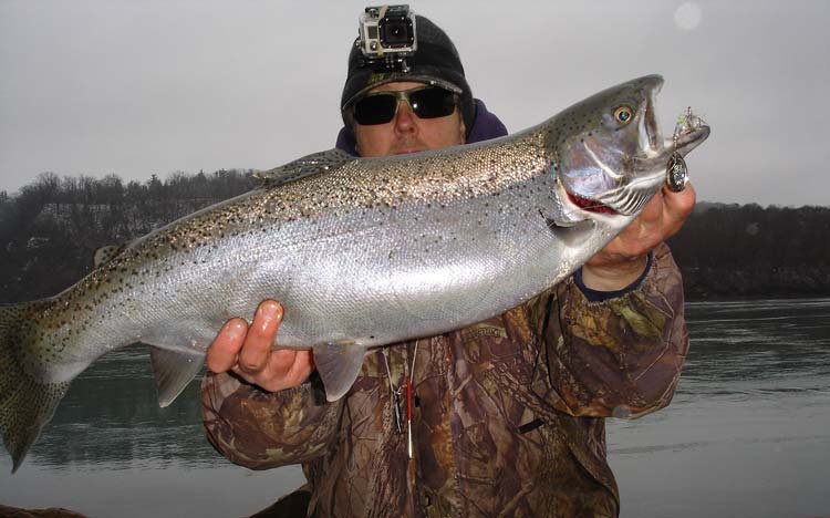 Mike Rzucidlo steelhead
