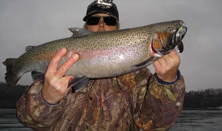 Mike Rzucidlo steelhead on spinner