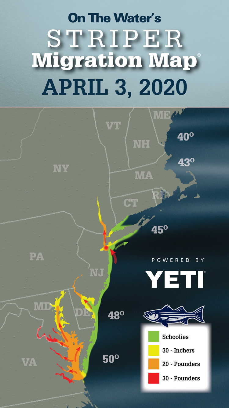 Striper Migration Map April 3, 2020