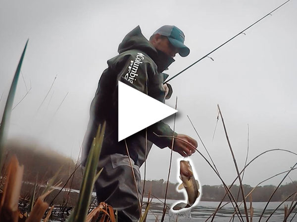 cold weather largemouth bass