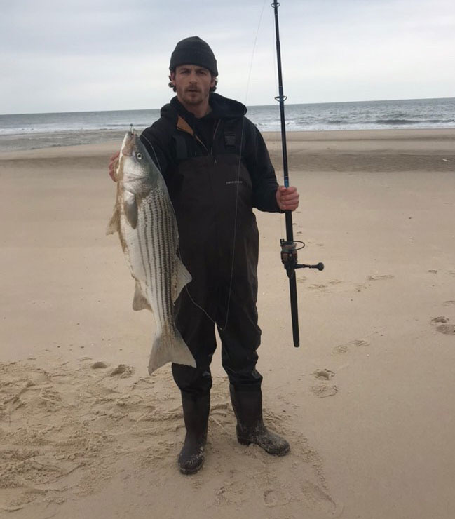 John Gallo surf bass