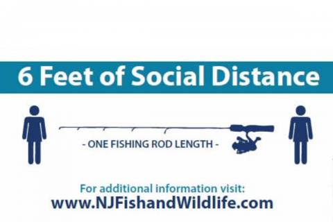 Covid-19 (Coronavirus) and Fishing