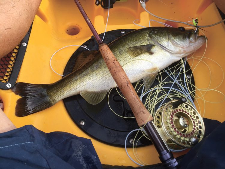 kayak largemouth on the fly