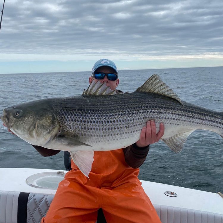 Fisherman's Headquarters striped bass
