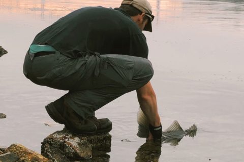 Michael Manhardt striper release