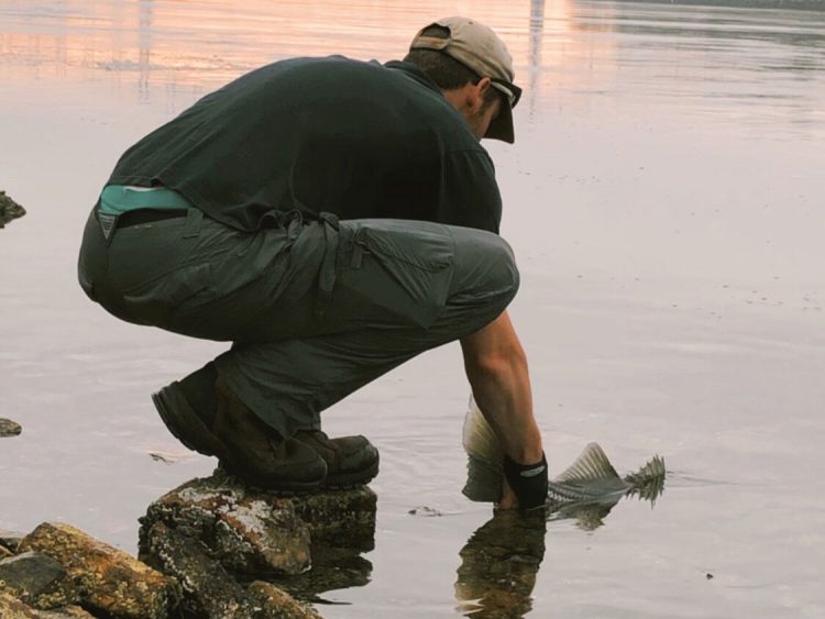 Michael Manhardt striper release
