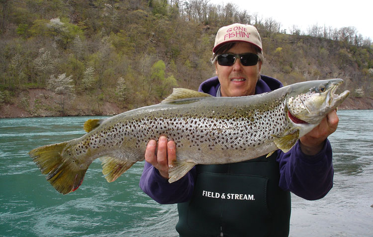 Mike Rzucidlo brown trout