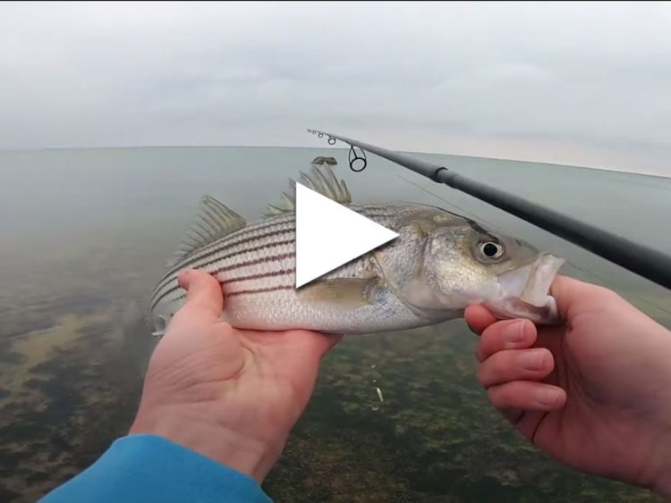 Before Work Schoolies