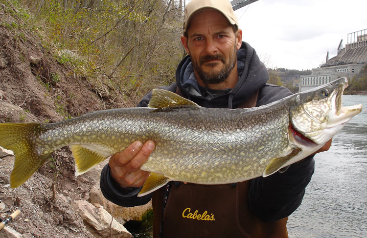 Mike Ziehm lake trout