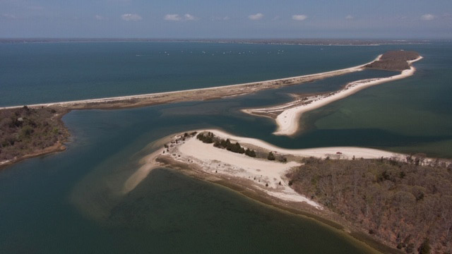 porgy grounds by Jessups