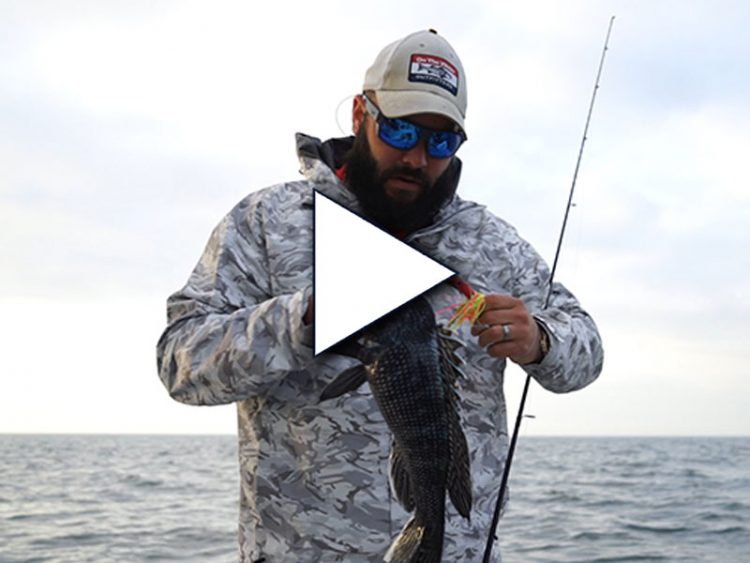 DoormatadorZ field test