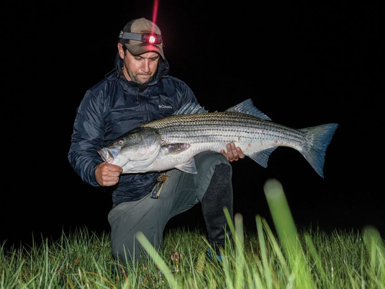 striper caught on an eel