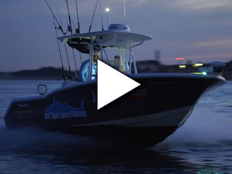 Boton Harbor Cleanup