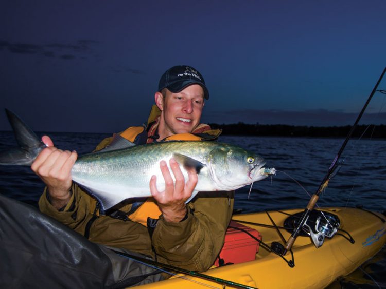 kayak bluefish