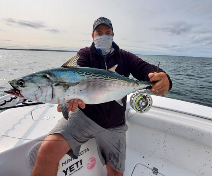 Get Tight Sportfishing albie