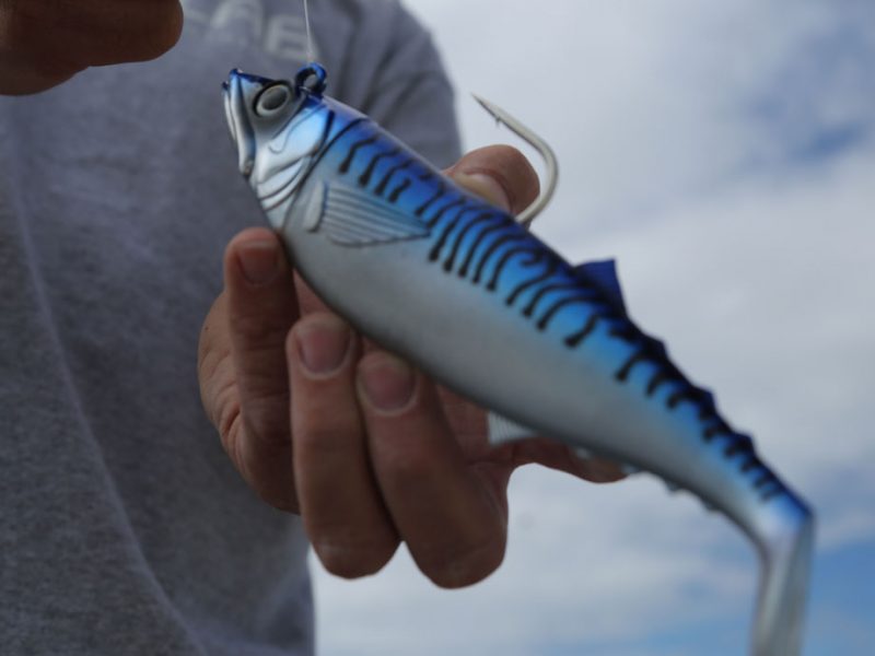 The New Wave of Saltwater Swimbaits for Big Stripers - On The Water