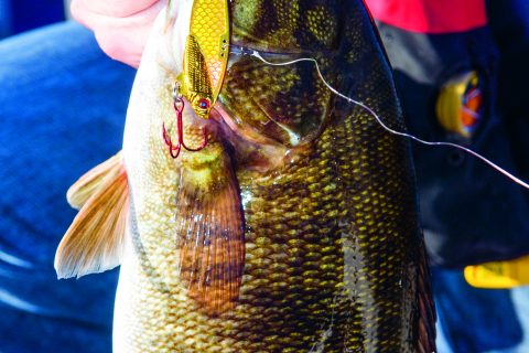 Learn how to vertically jig for smallmouth bass on freshwater humps and ridges during the cooler months of the year with blade bait lures.