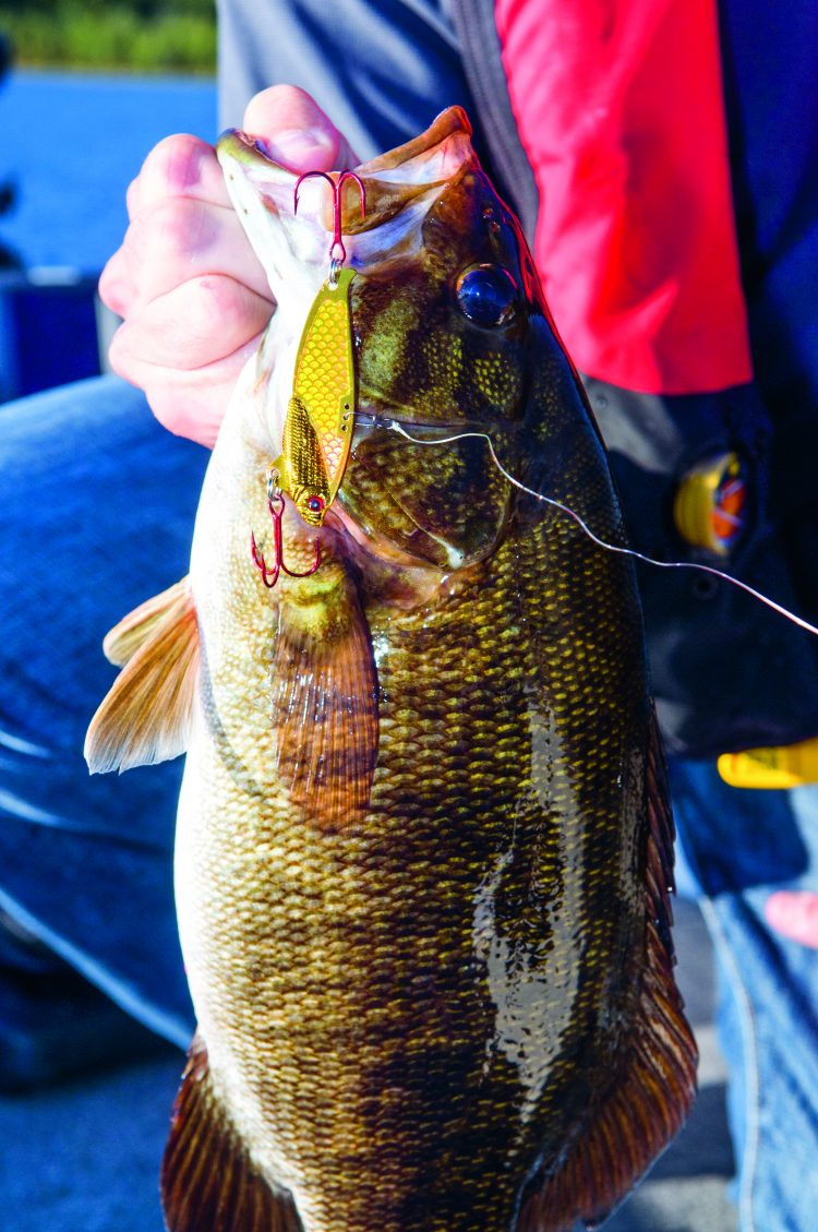 Learn how to vertically jig for smallmouth bass on freshwater humps and ridges during the cooler months of the year with blade bait lures.