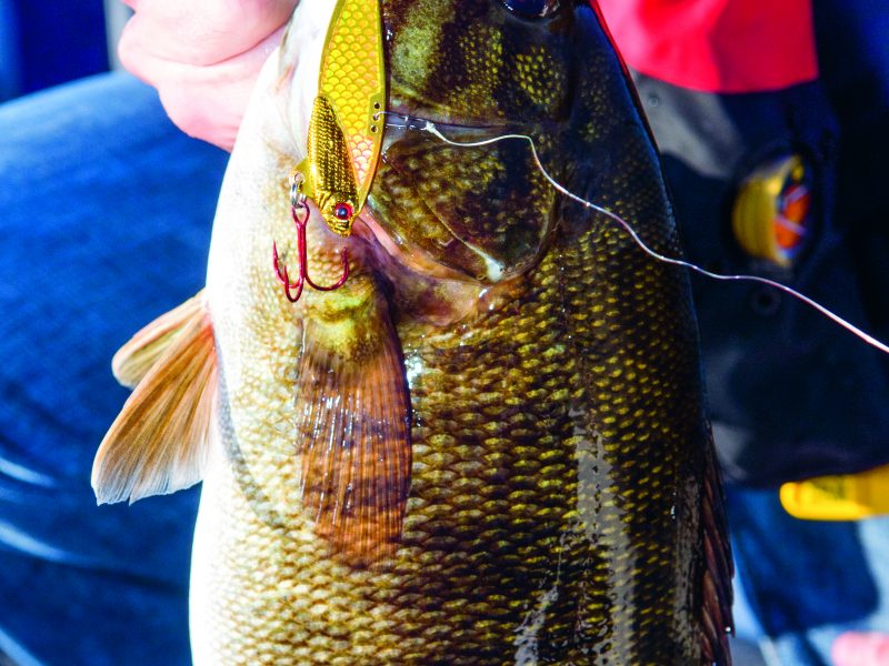 Fishing a Blade Bait for Fall smallmouth 