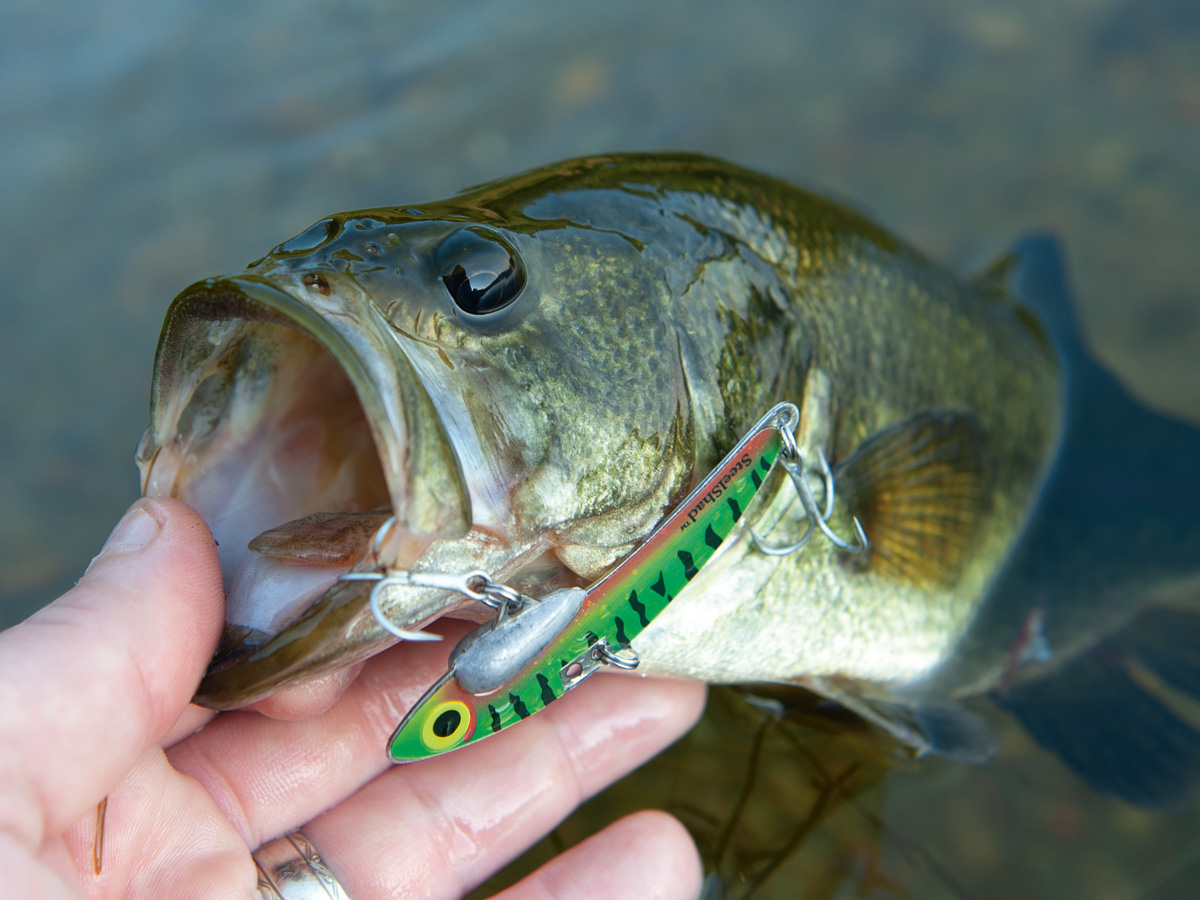 Where Can I Catch Bass When Its HOT - Bass Fishing Lures and Tips -  Realistic Fishing