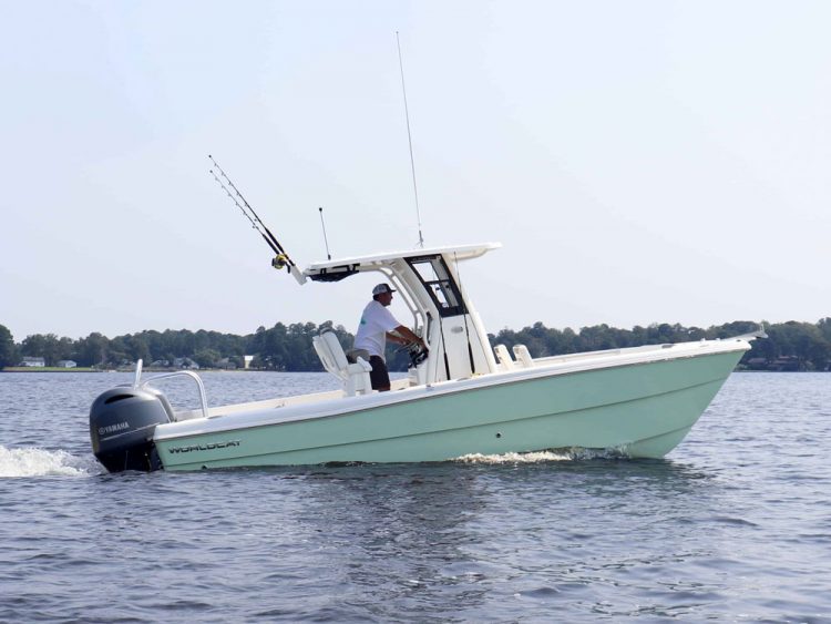 World Cat 235CC running