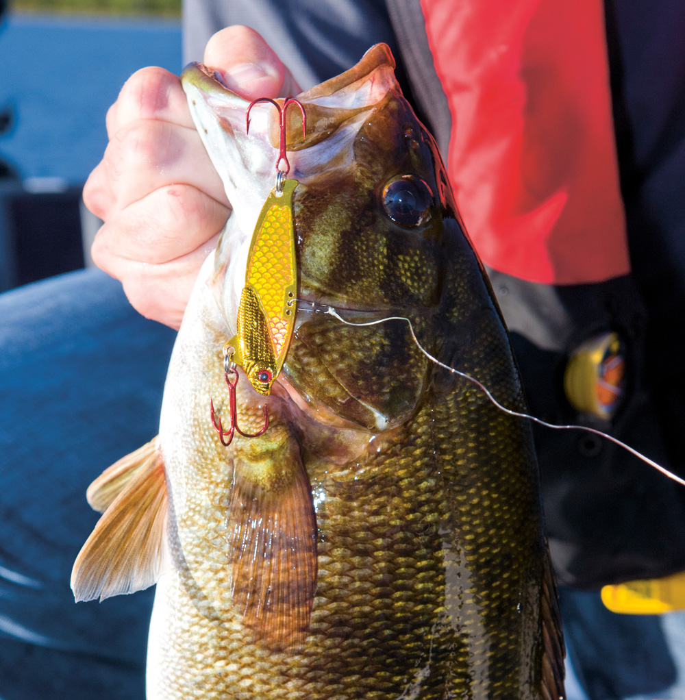 Best Crankbaits for Small River Smallmouth Bass Fishing 