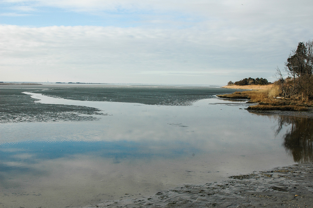 estuary at low tide