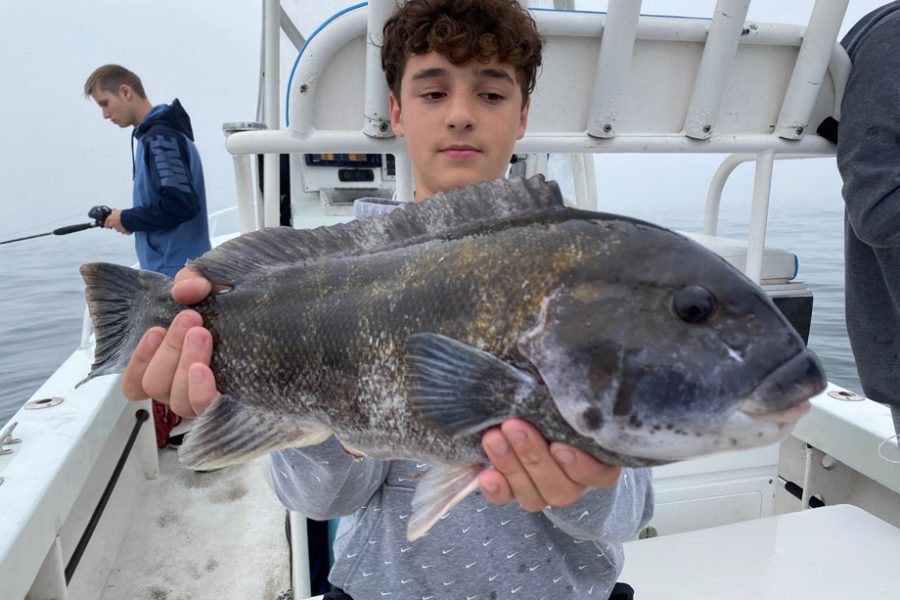 Toataug Tautog Fish Facts - On The Water