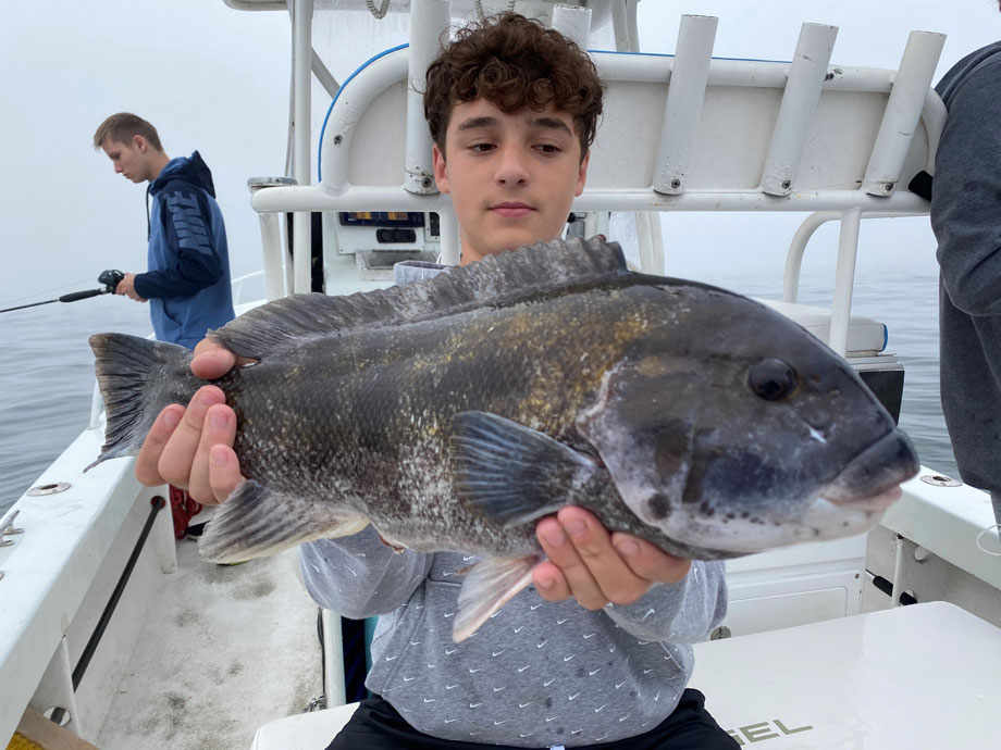 Tautog Fish Facts - On The Water