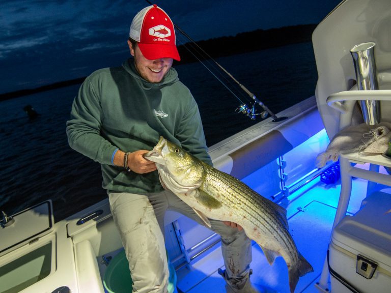 Striper Fishing The Fall Run at Fire Island On The Water