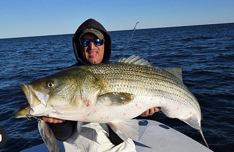 Tak Waterman striper