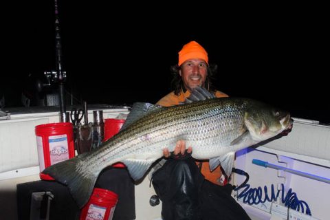 Big migrating striper