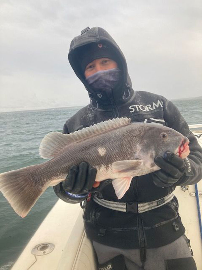 Little Sister tautog