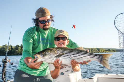 Landlocked Pennsylvania stripers can be found just 90 minutes north of Philadelphia at Beltzville Lake.