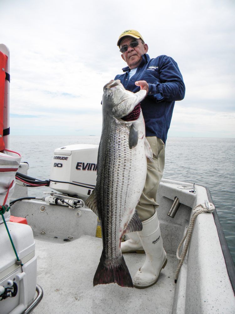 The First 80-Pound Striper on Rod-and-Reel - On The Water