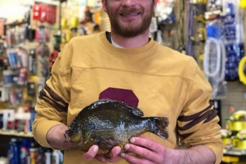 New York | Angler Ties State Record Pumpkinseed
