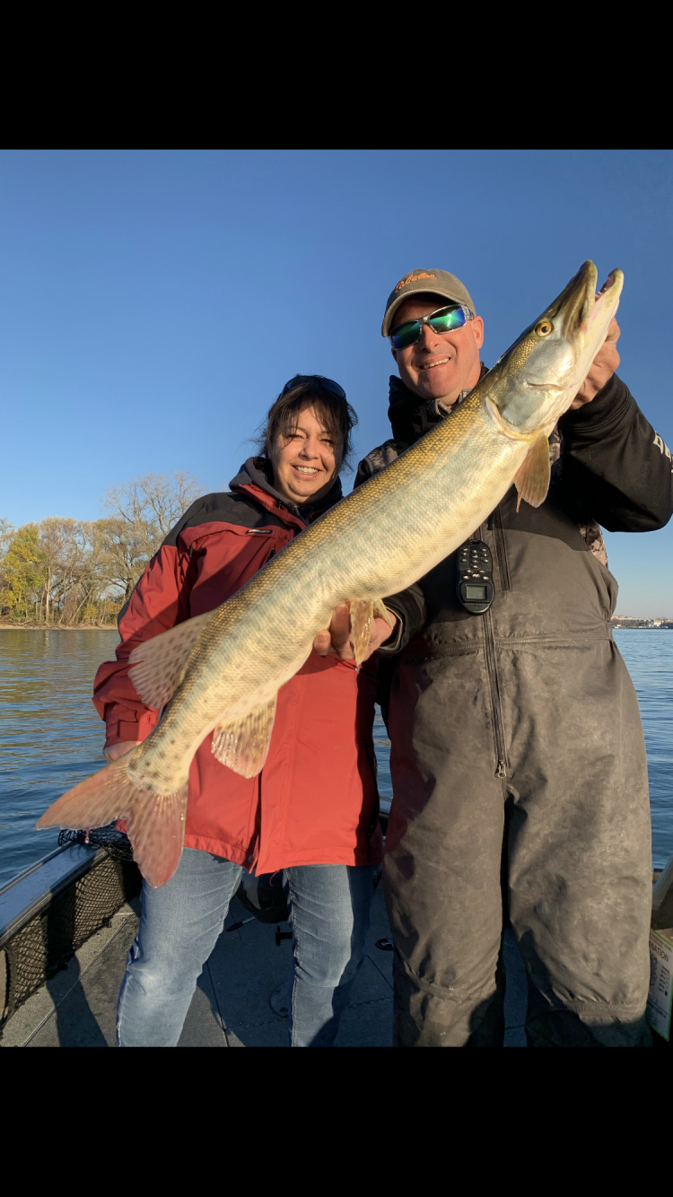 Vanessa Antone of Lewiston caught this 42-inch musky while drifting the upper Niagara River with Capt. Chris Cinelli of Grand Island.